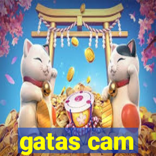 gatas cam